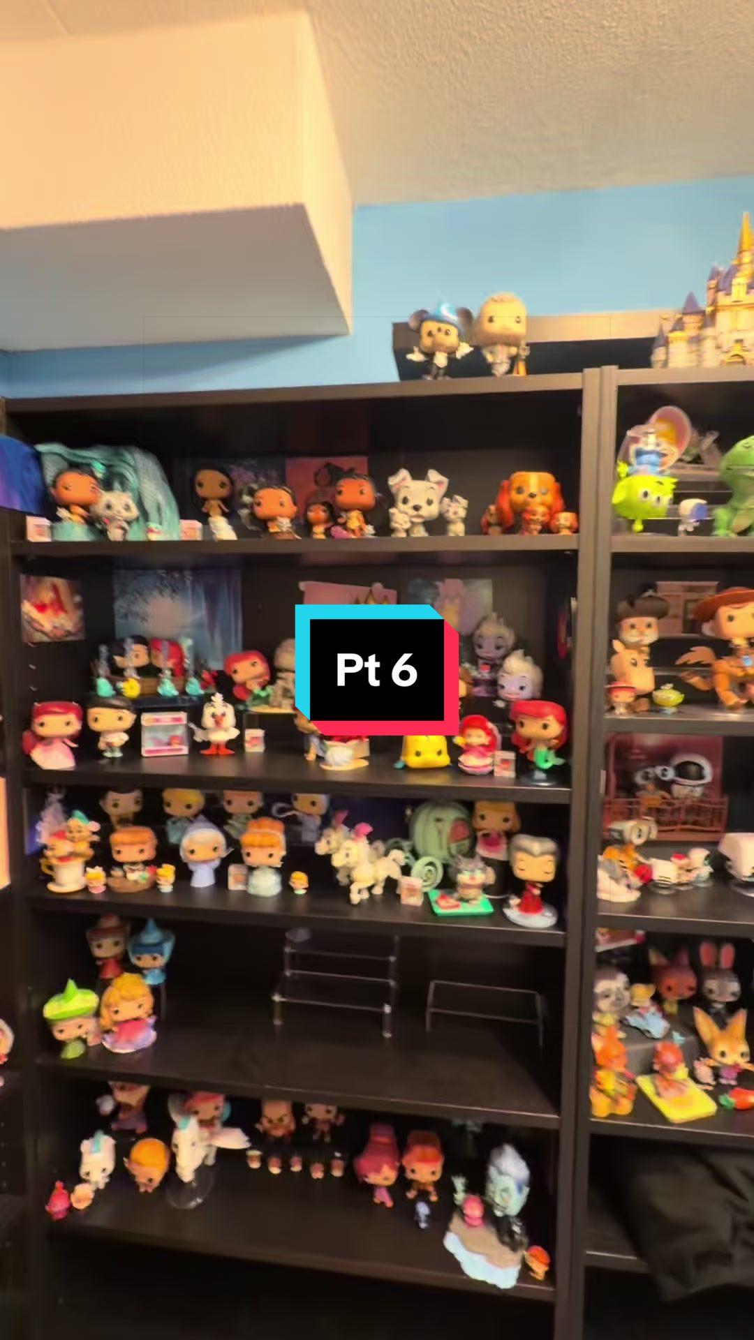 @The Magical Collector ✨️