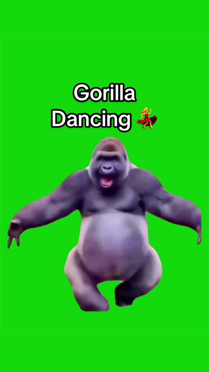 @Viral Green Screen Hub