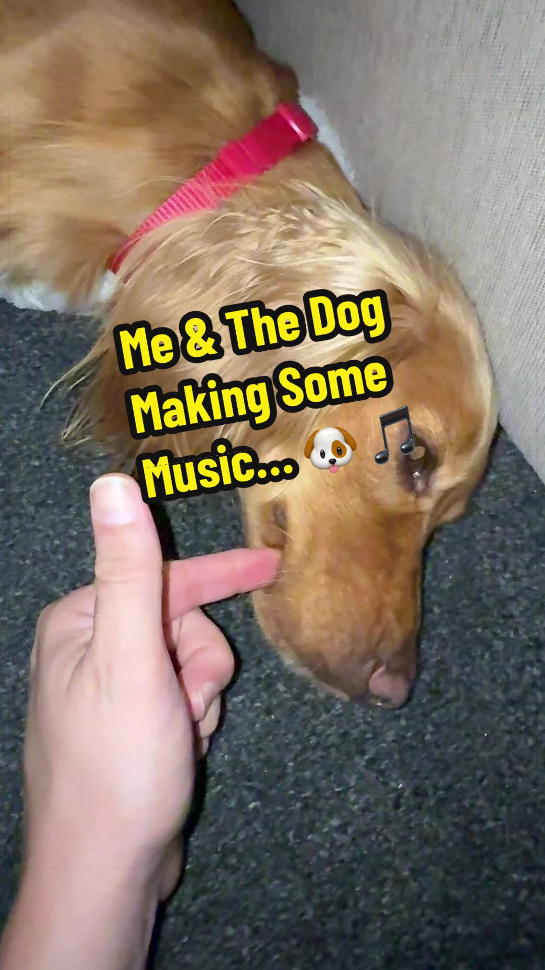 @Stuart Michaels