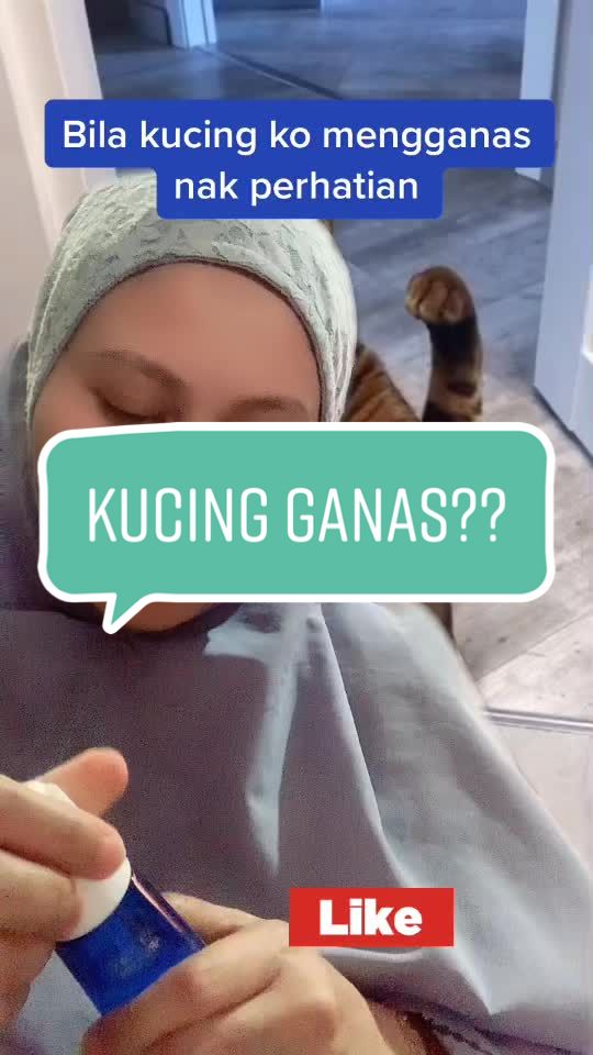 @Shila Hashim