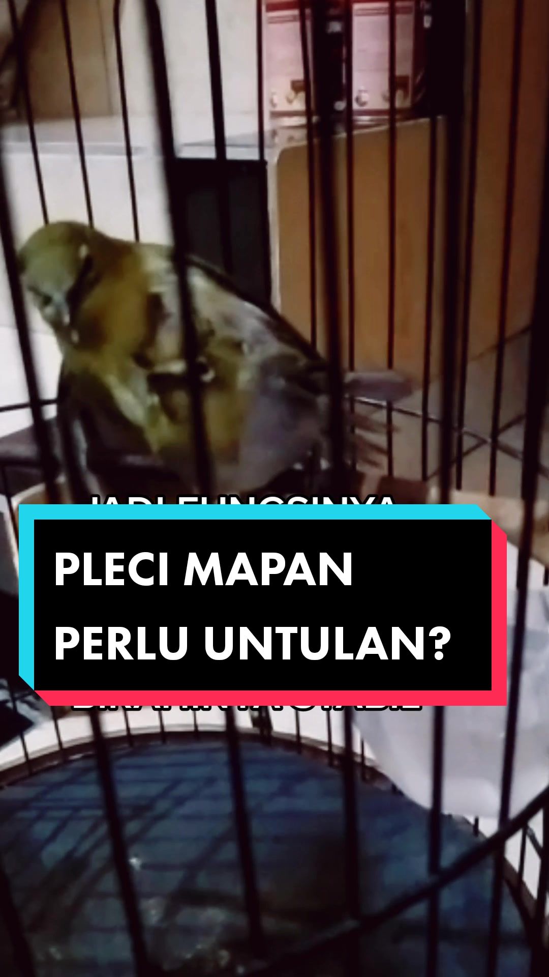 @totalbukpar