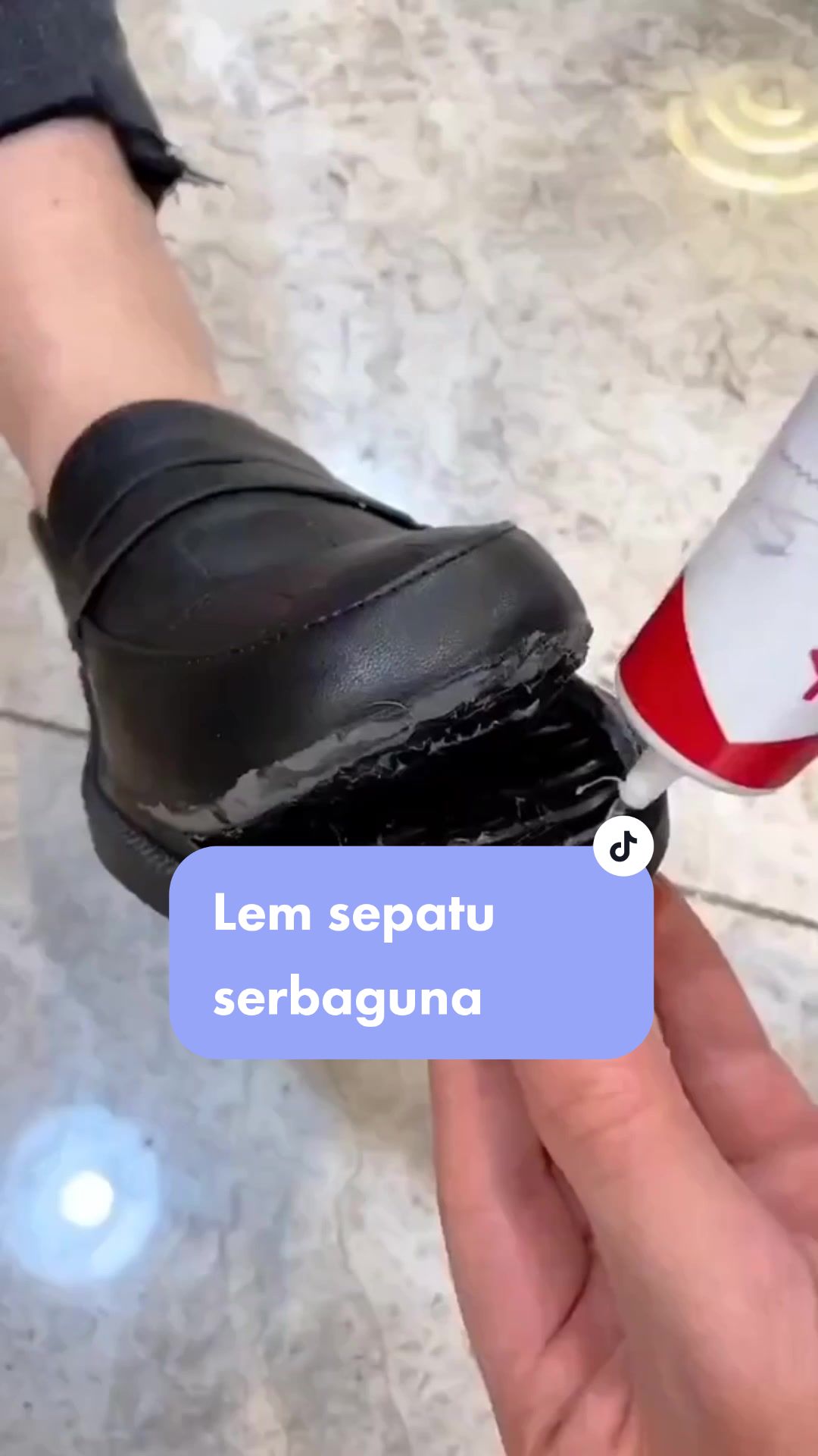 @semestaspeciosa__