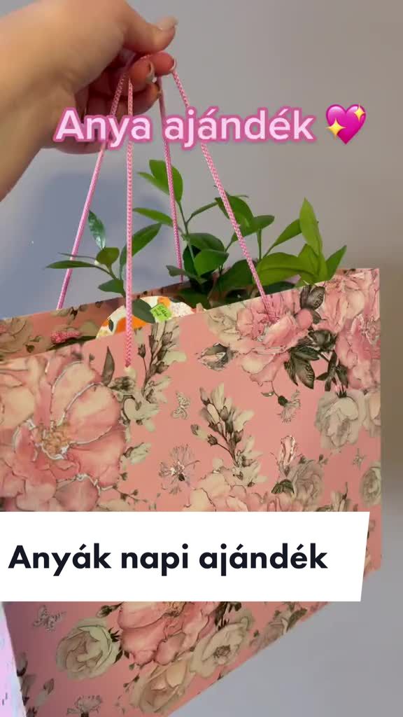 @Fruzsi B
