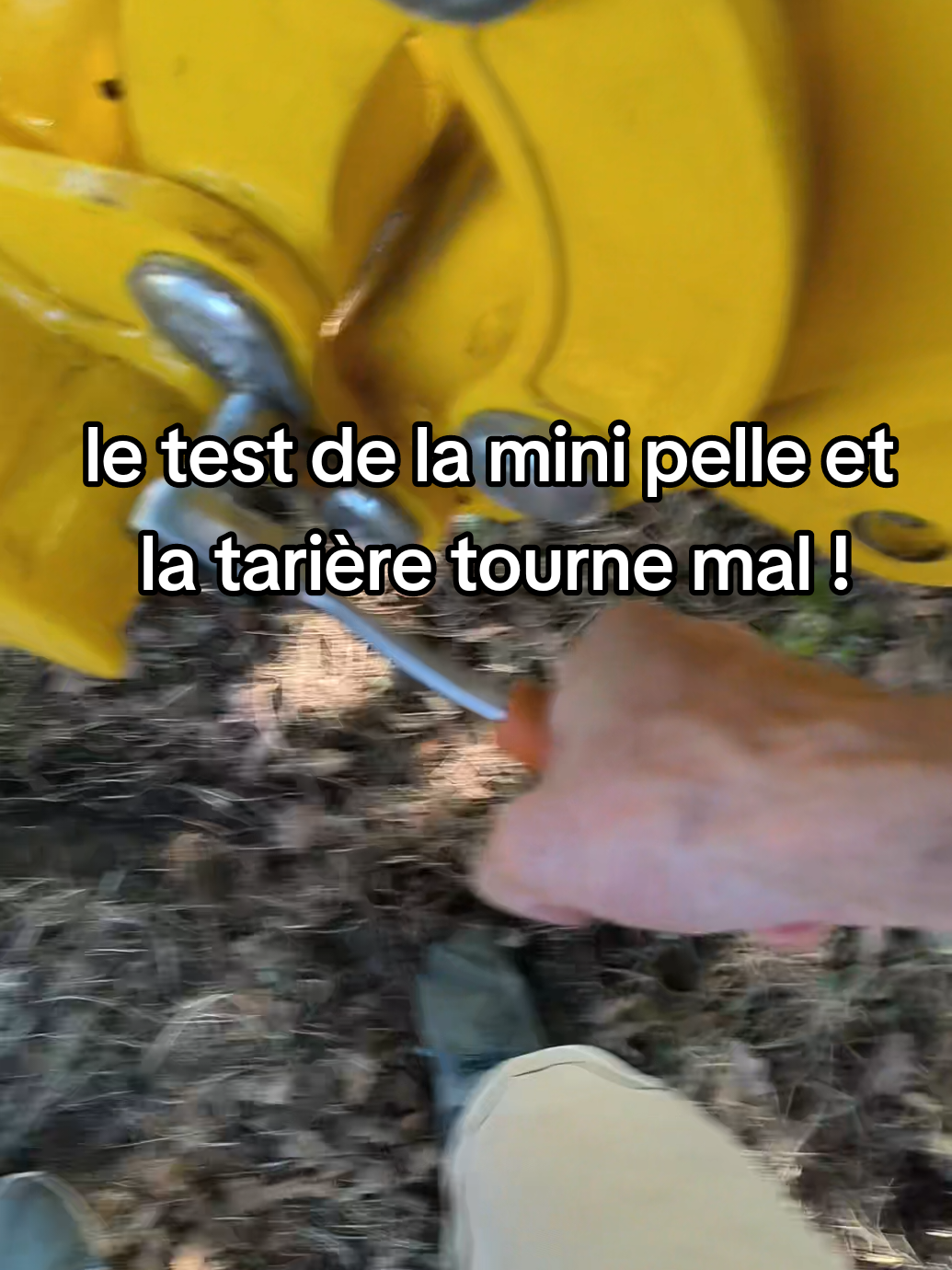 @Vivien Roulin ☑️ • ami(e)s