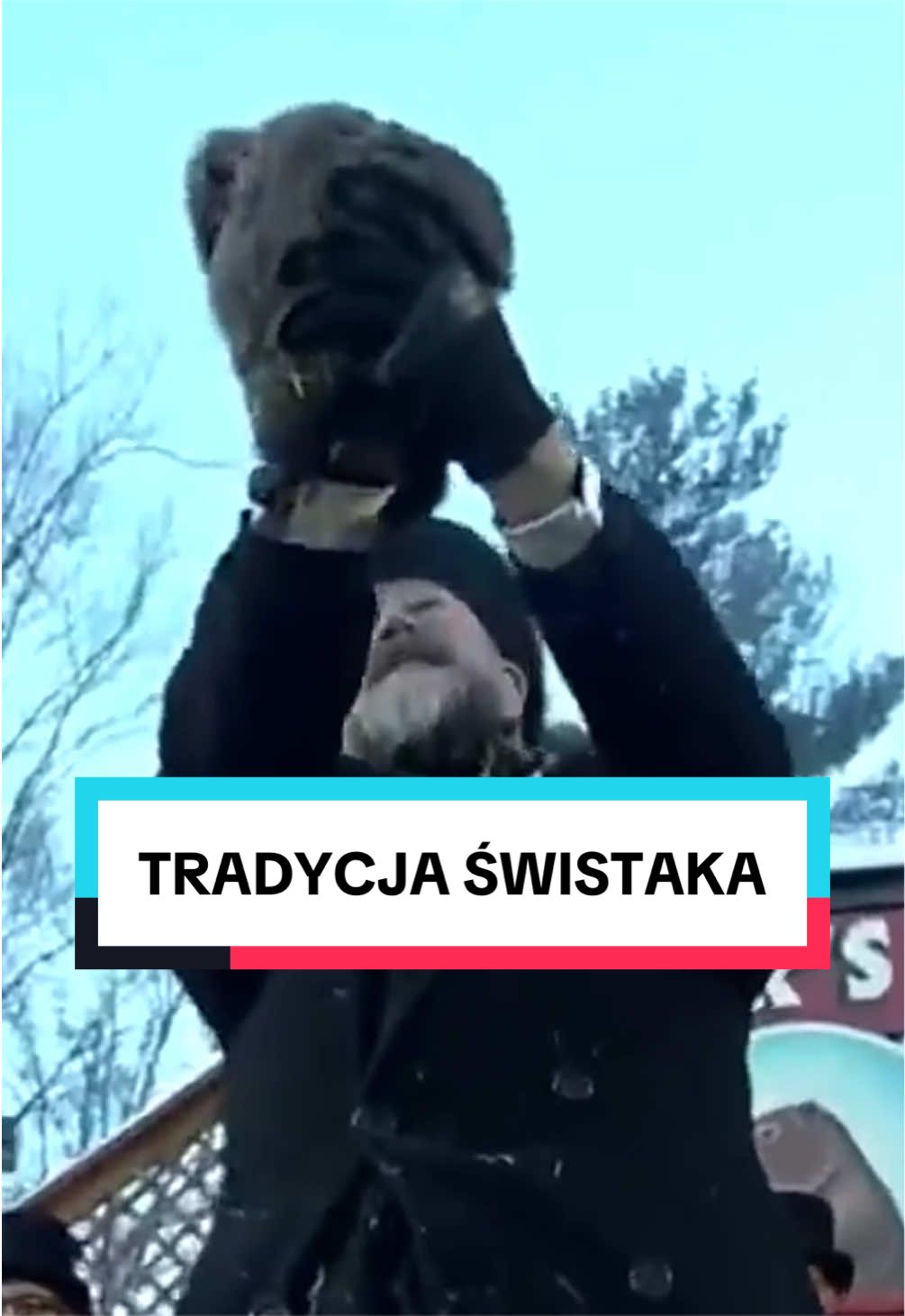 @pandawojtekyt