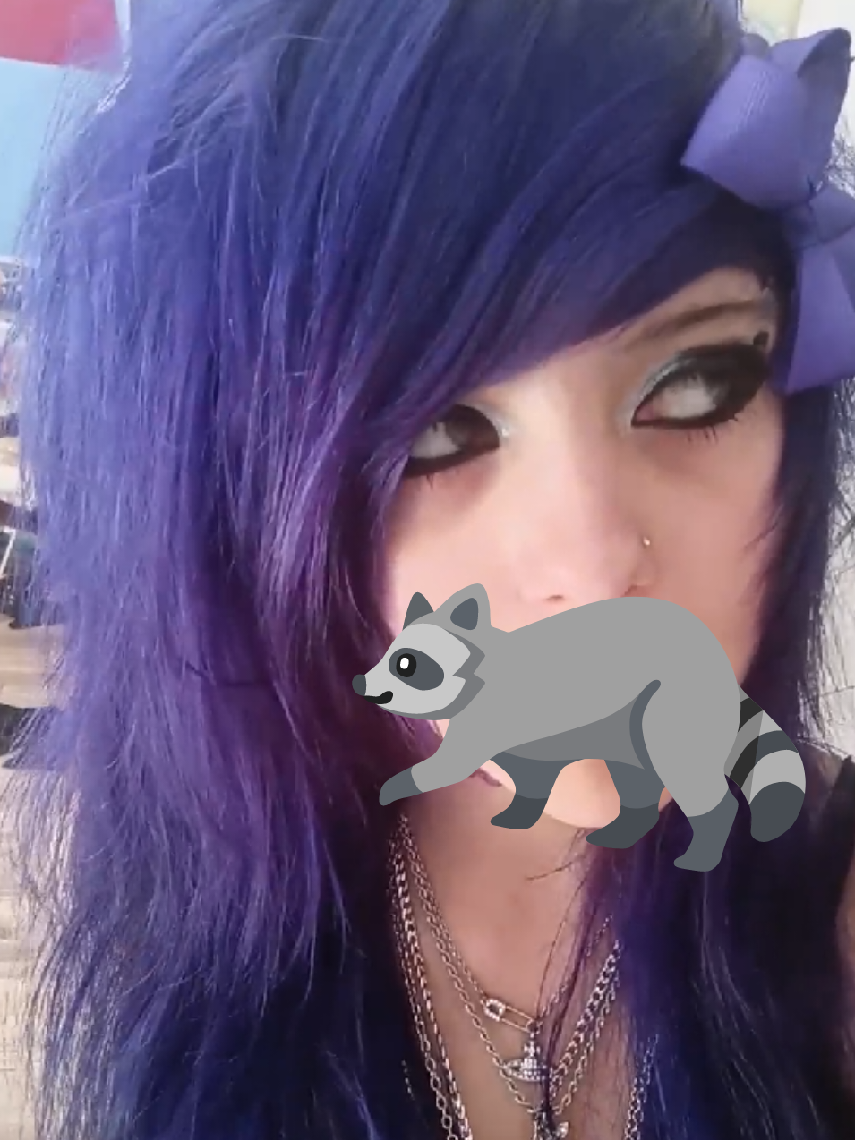 @💜𝕷𝖎𝖛𝖘 𝕽𝖆𝖈𝖈𝖔𝖔𝖓𝖘🦝