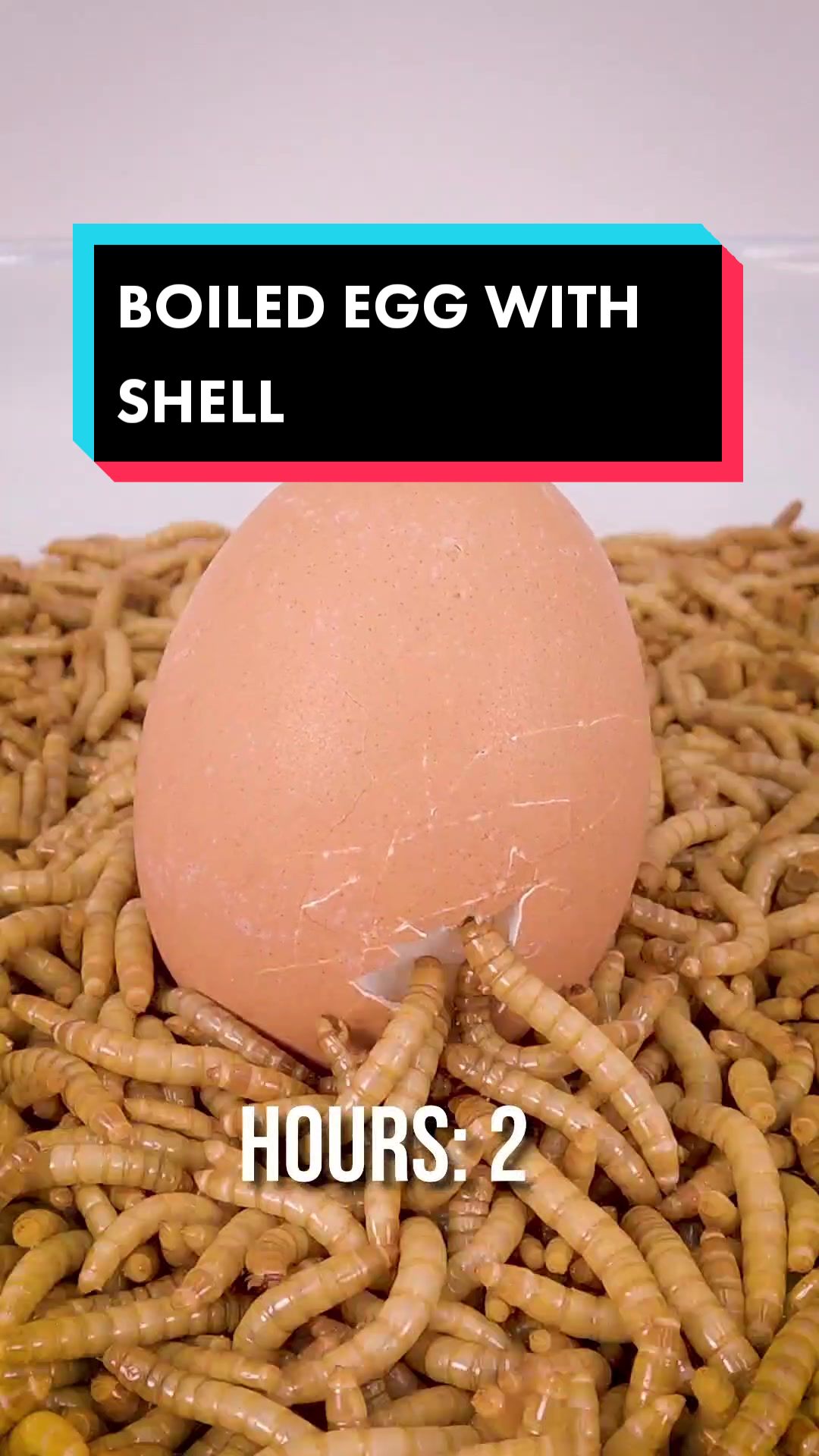 @wormlapse