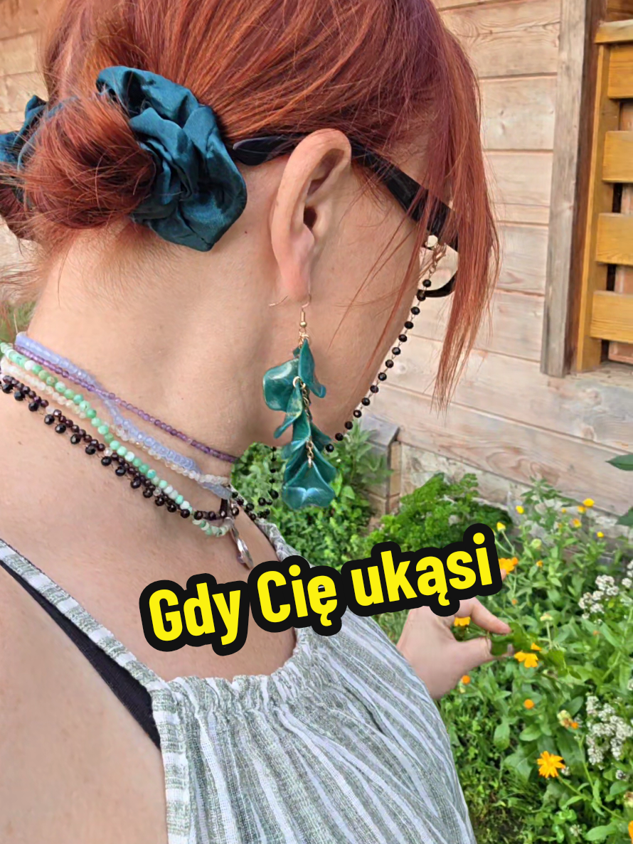 @Ania z Bieszczadzkiej Hecy🧀