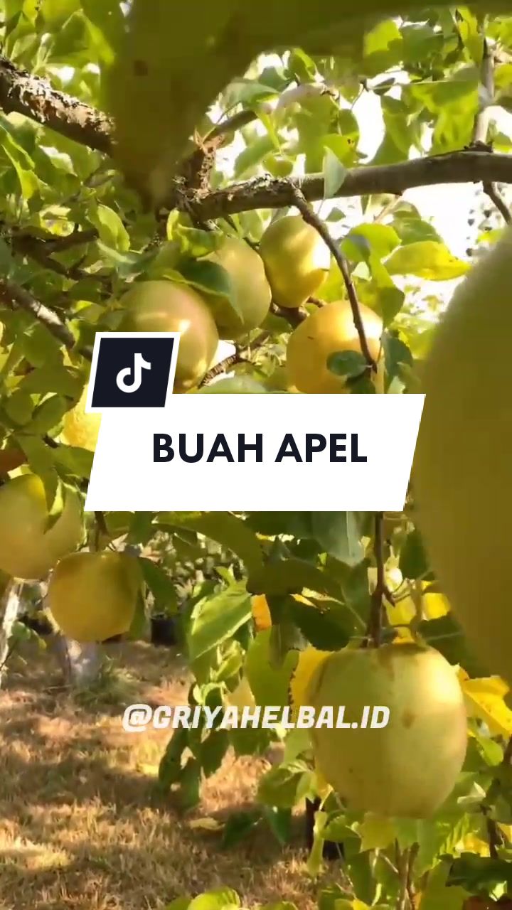 @๐ฑ ๐ณ๐๐๐๐ ๐ท๐๐๐๐๐ ๐ฟ