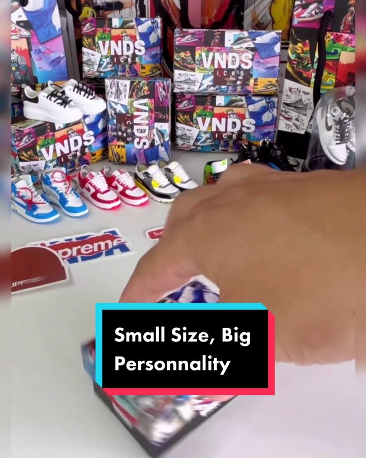@VNDS Kicks