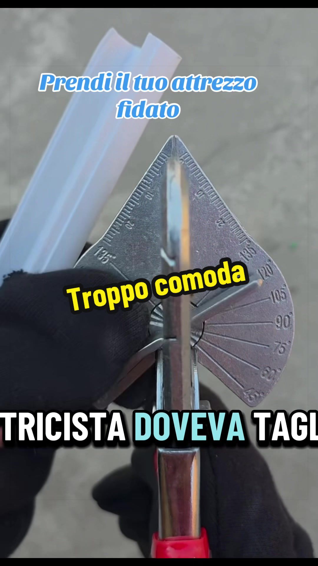 @Alessandro Cuomo ♌️