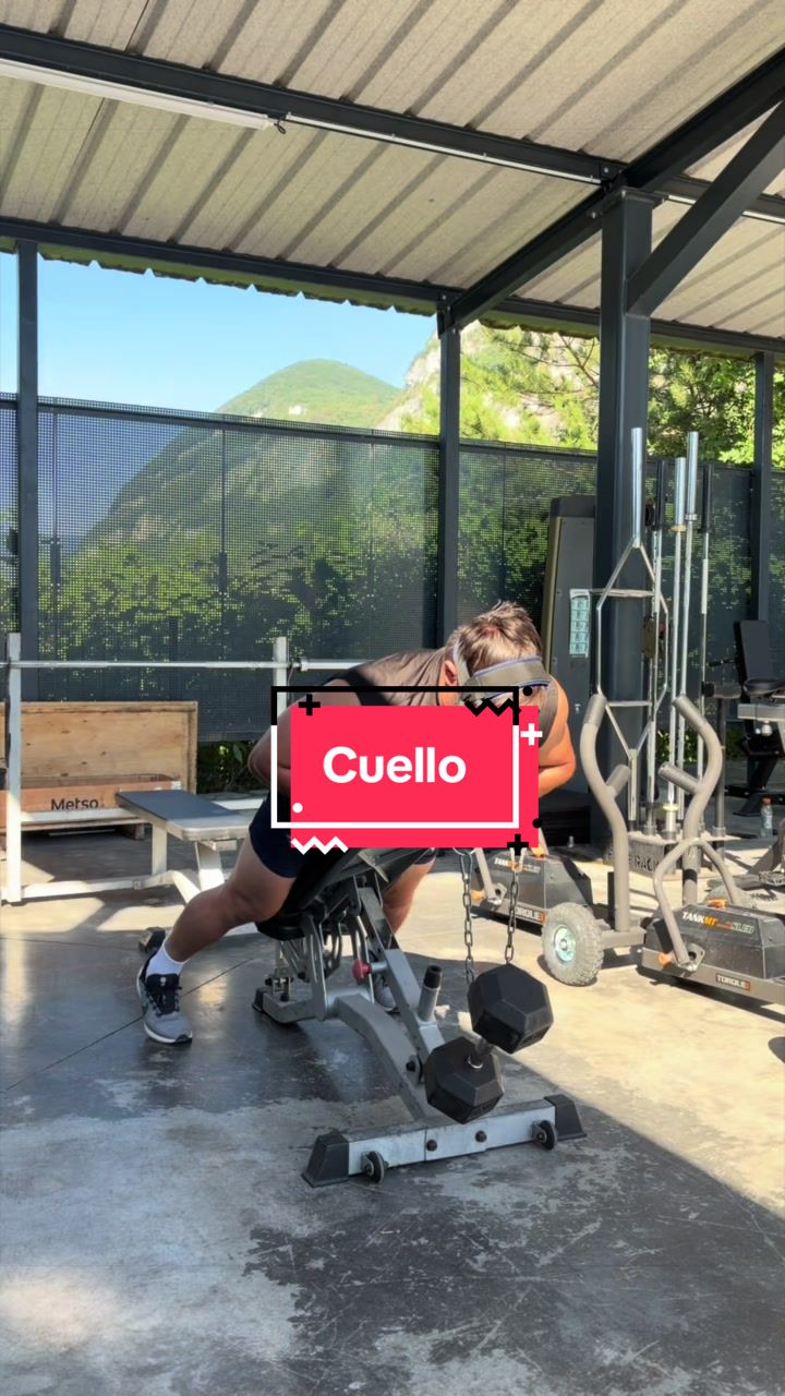 @Lauted54