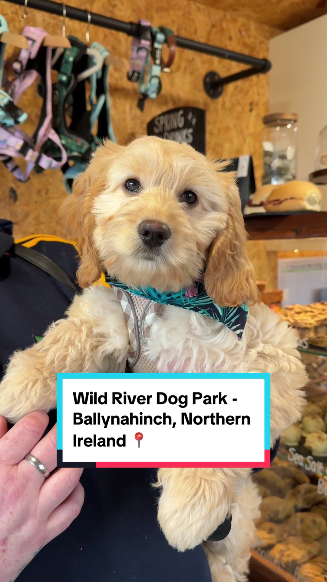 @Wild River Dog Park