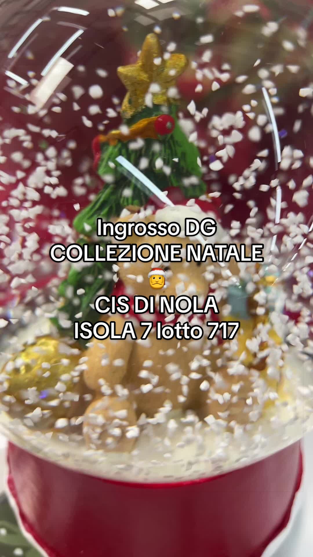 @ingrosso DG Cis di Nola