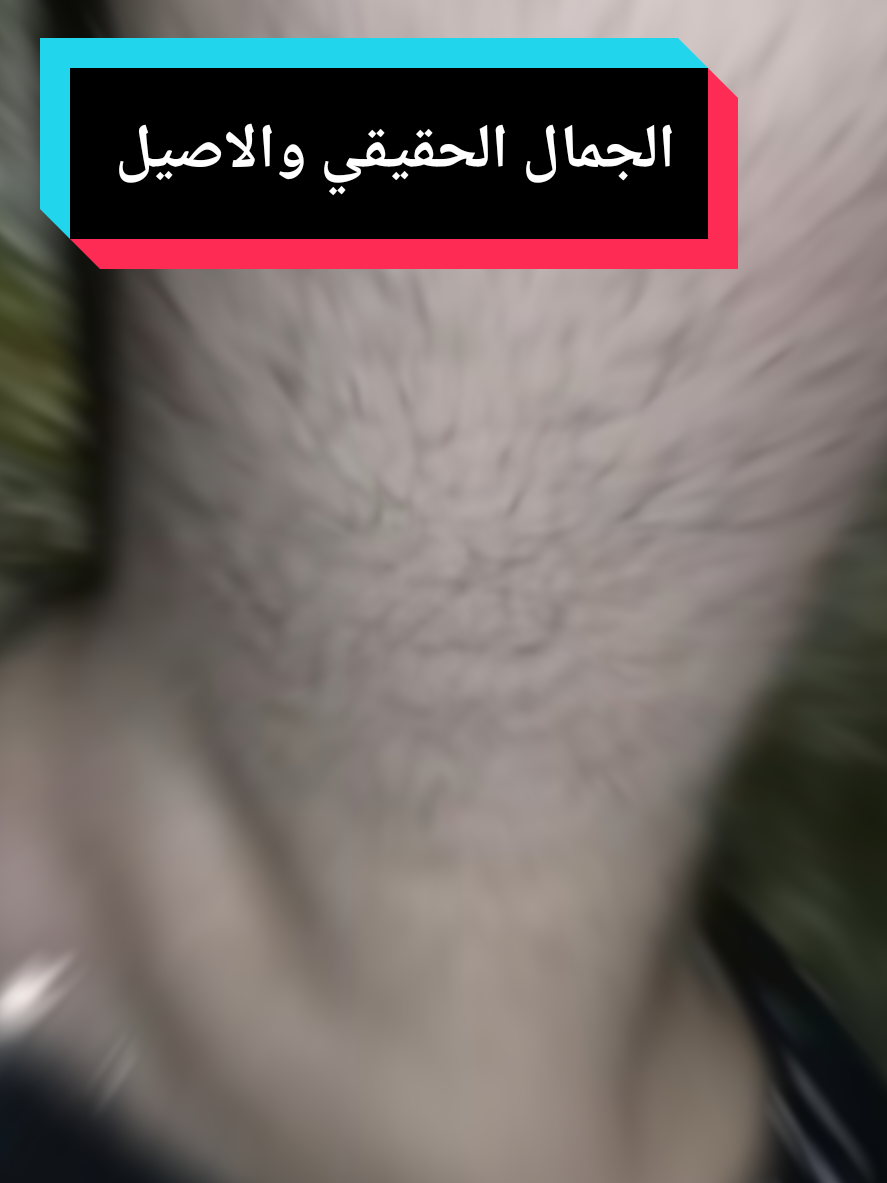@haninzin