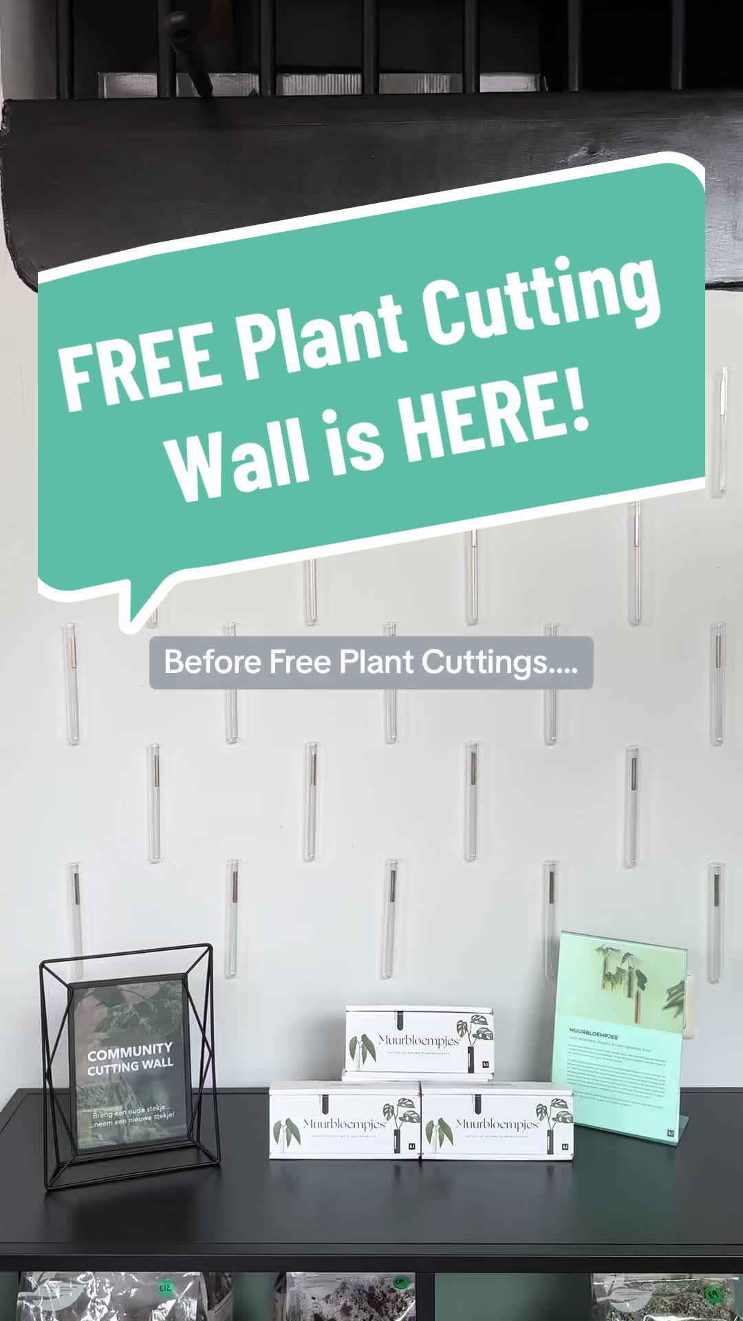 @BMBOplants