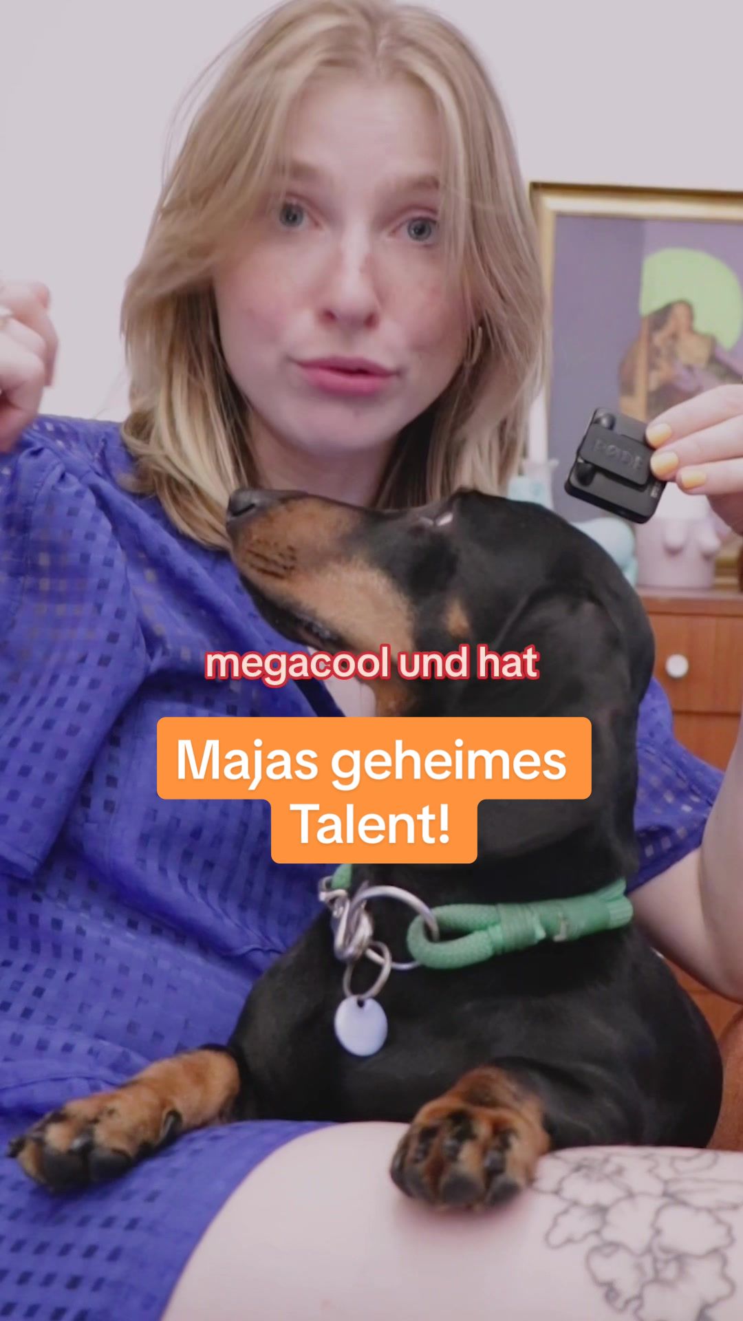 @SausagedogMaja