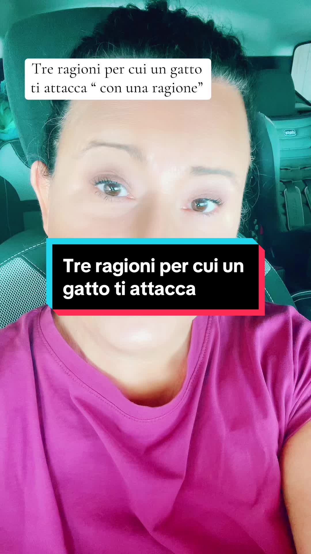 @Paolagemma Consulente Felina😻
