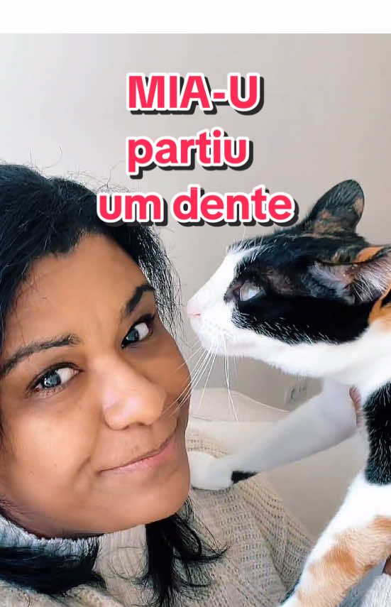 @Elisabete Silva