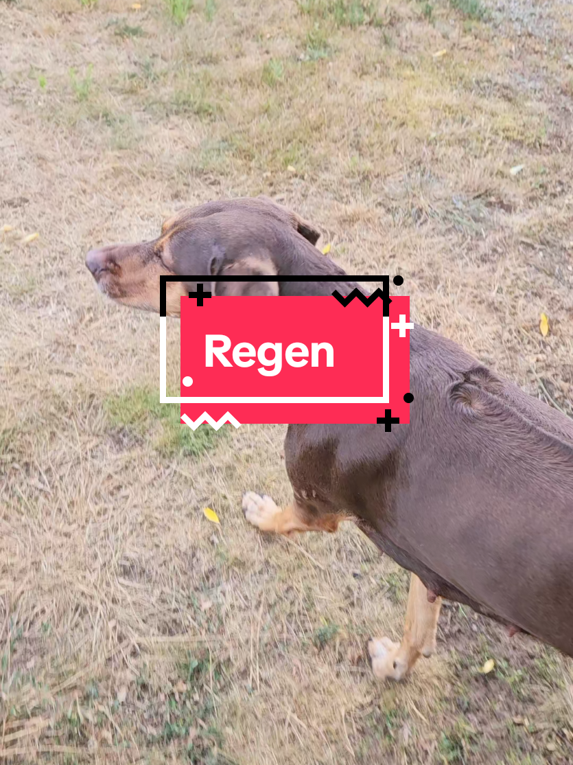 @Paddy und Sally