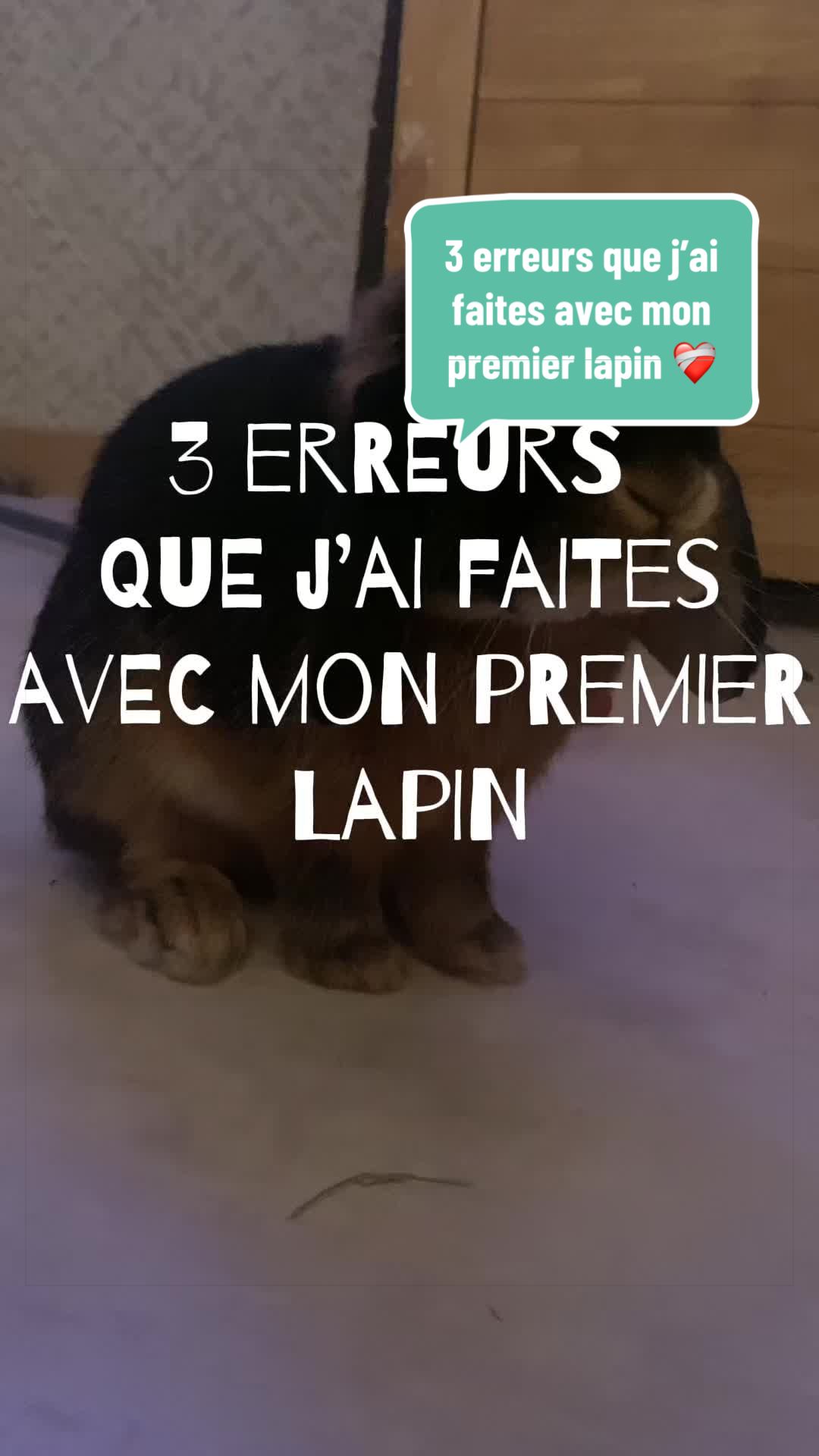 @Mes lapinouchs 🐰🐹