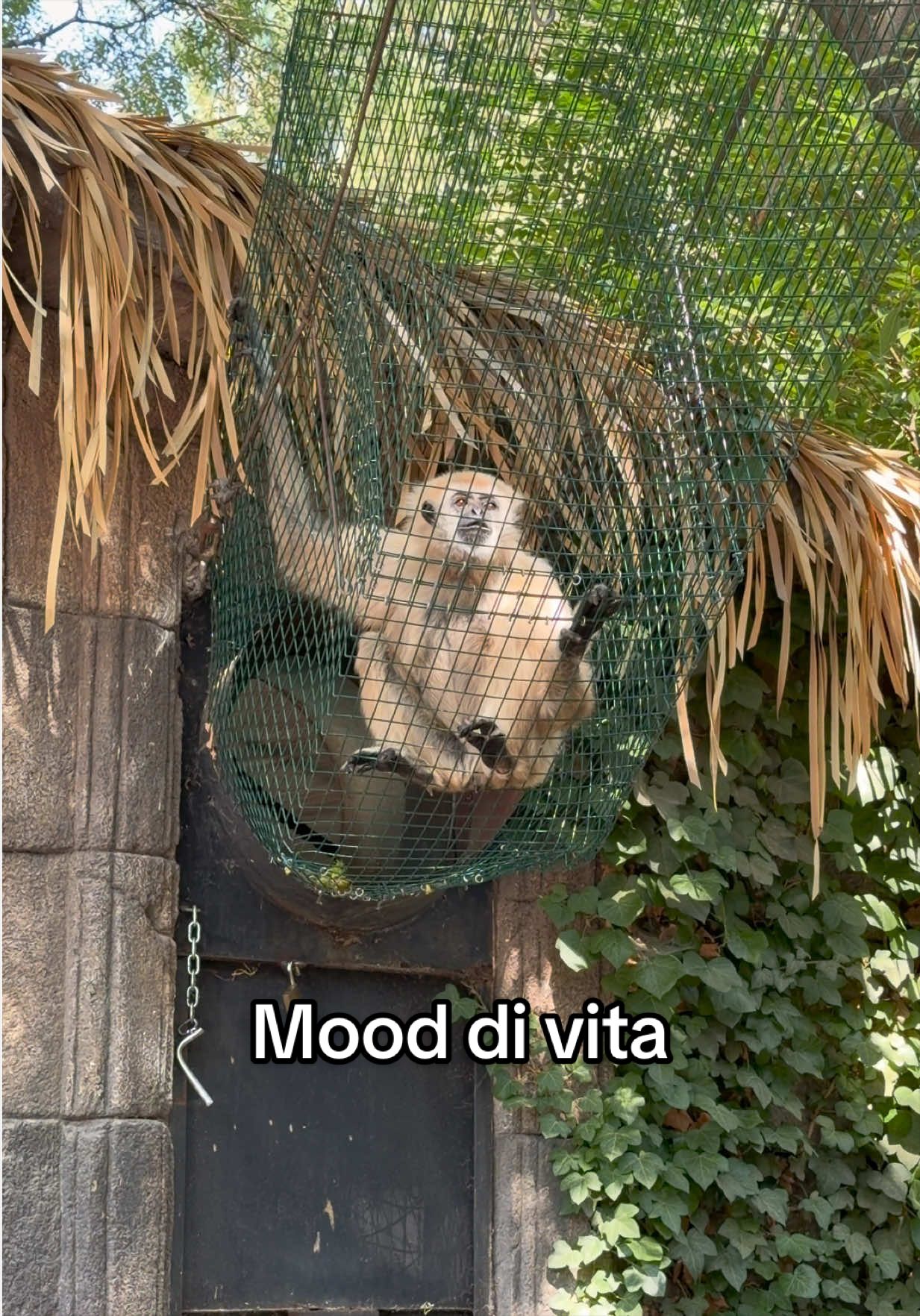 @ValenTina