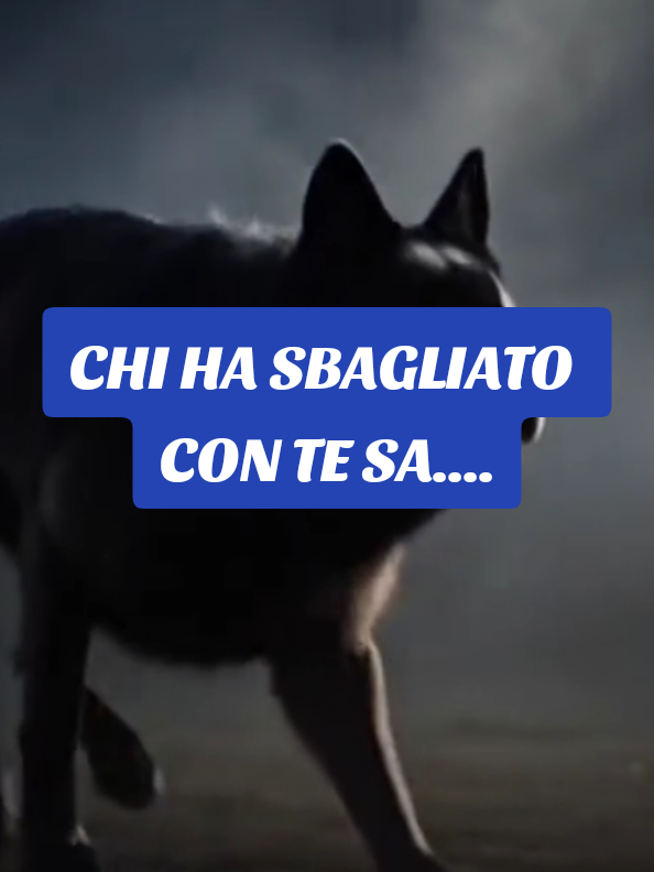 @ALESSANDRO_IL_ROMANO