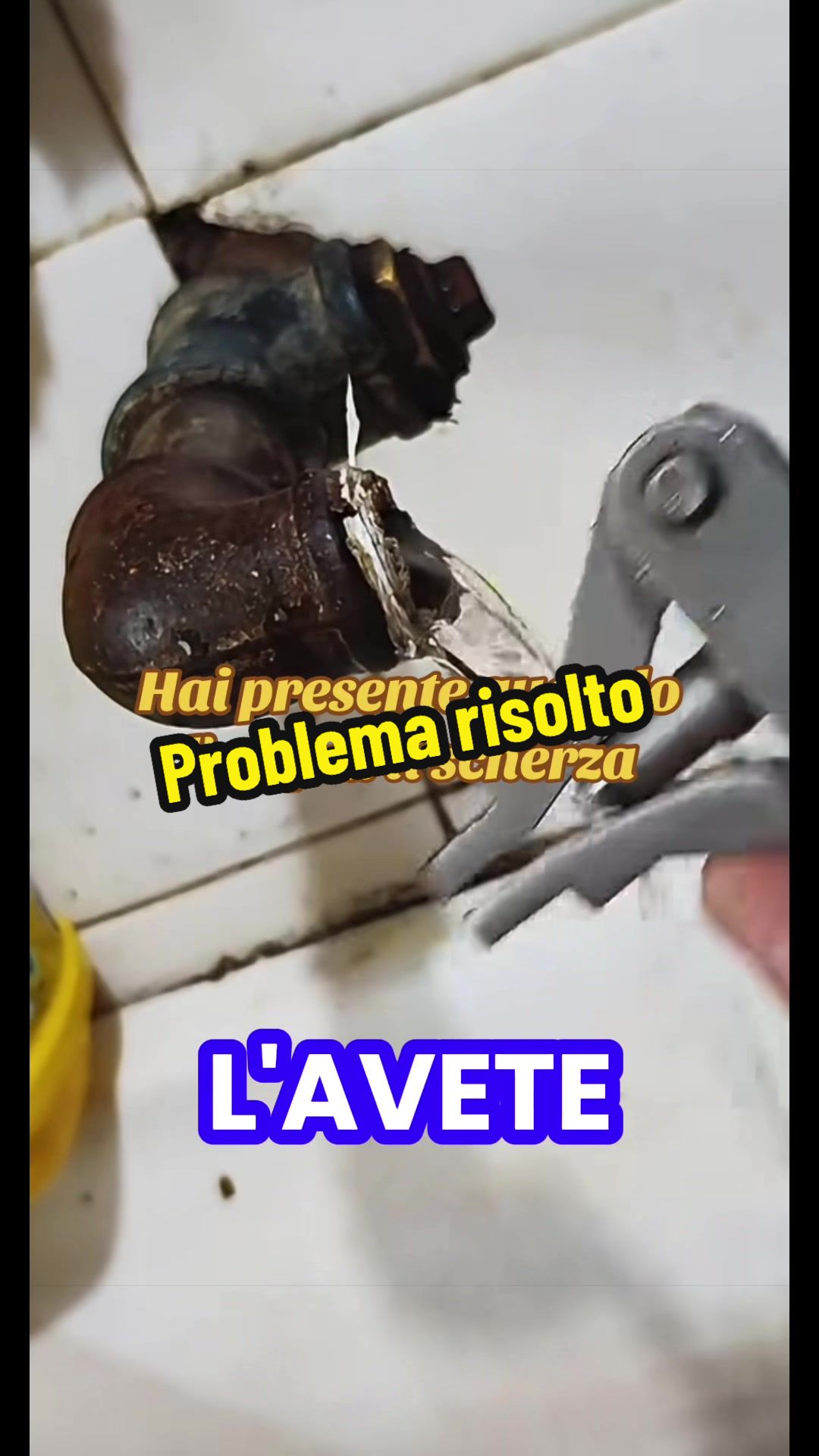 @Alessandro Cuomo ♌️