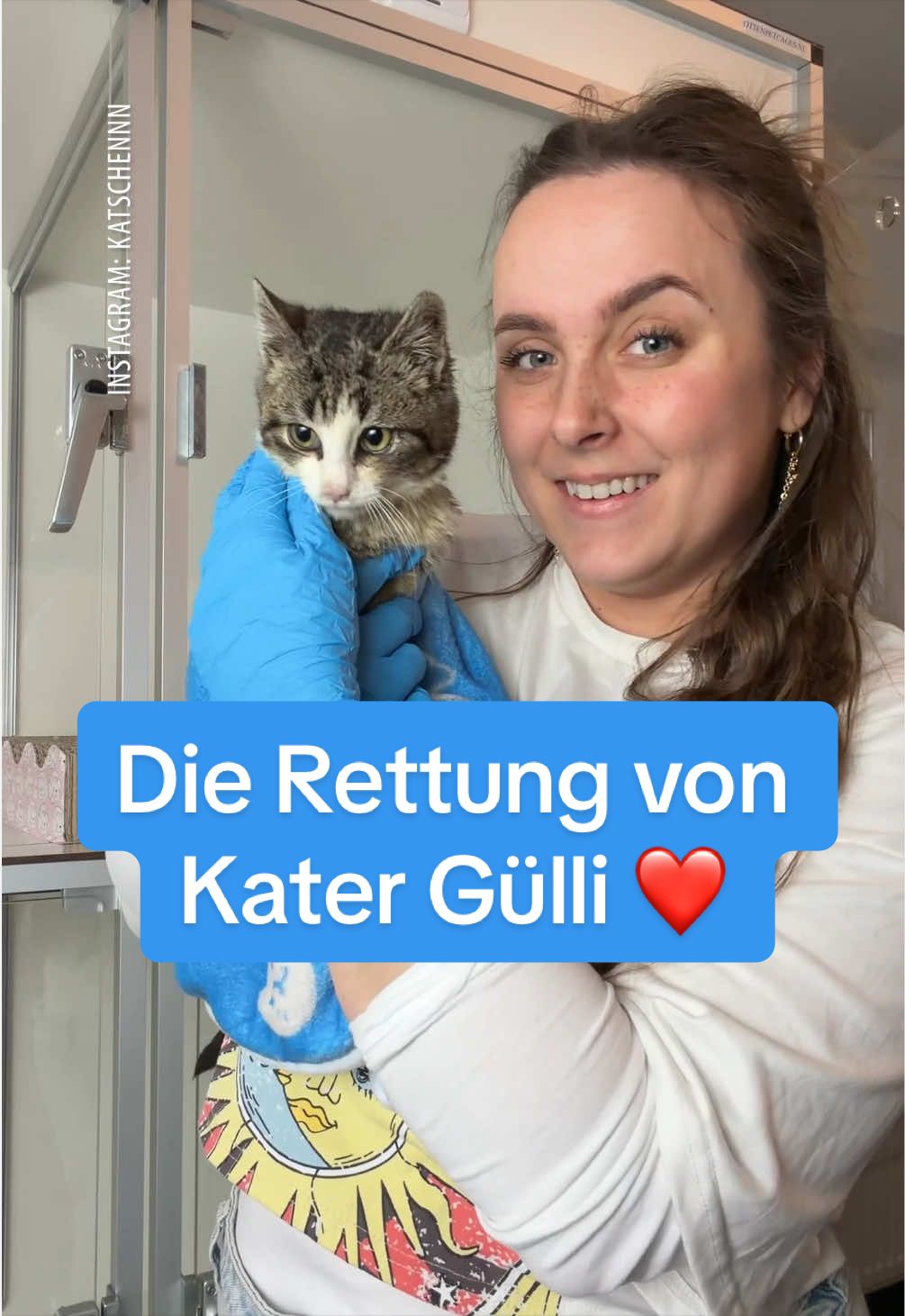 @Ostfriesen-Zeitung 🗞️