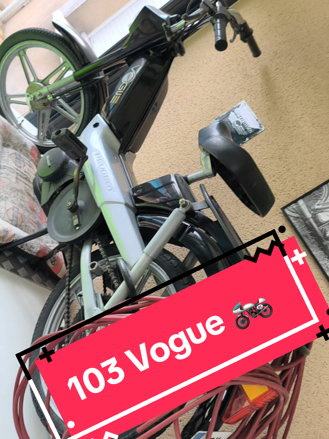 @Shauna Motarde 🏍️