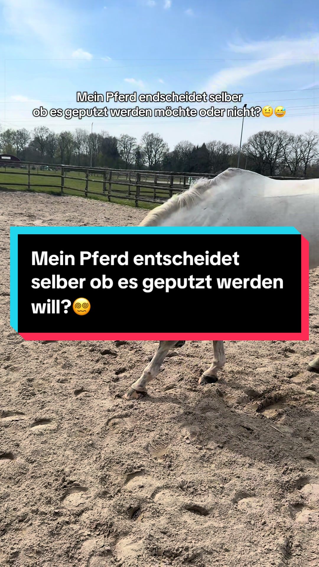 @Leonie Pander
