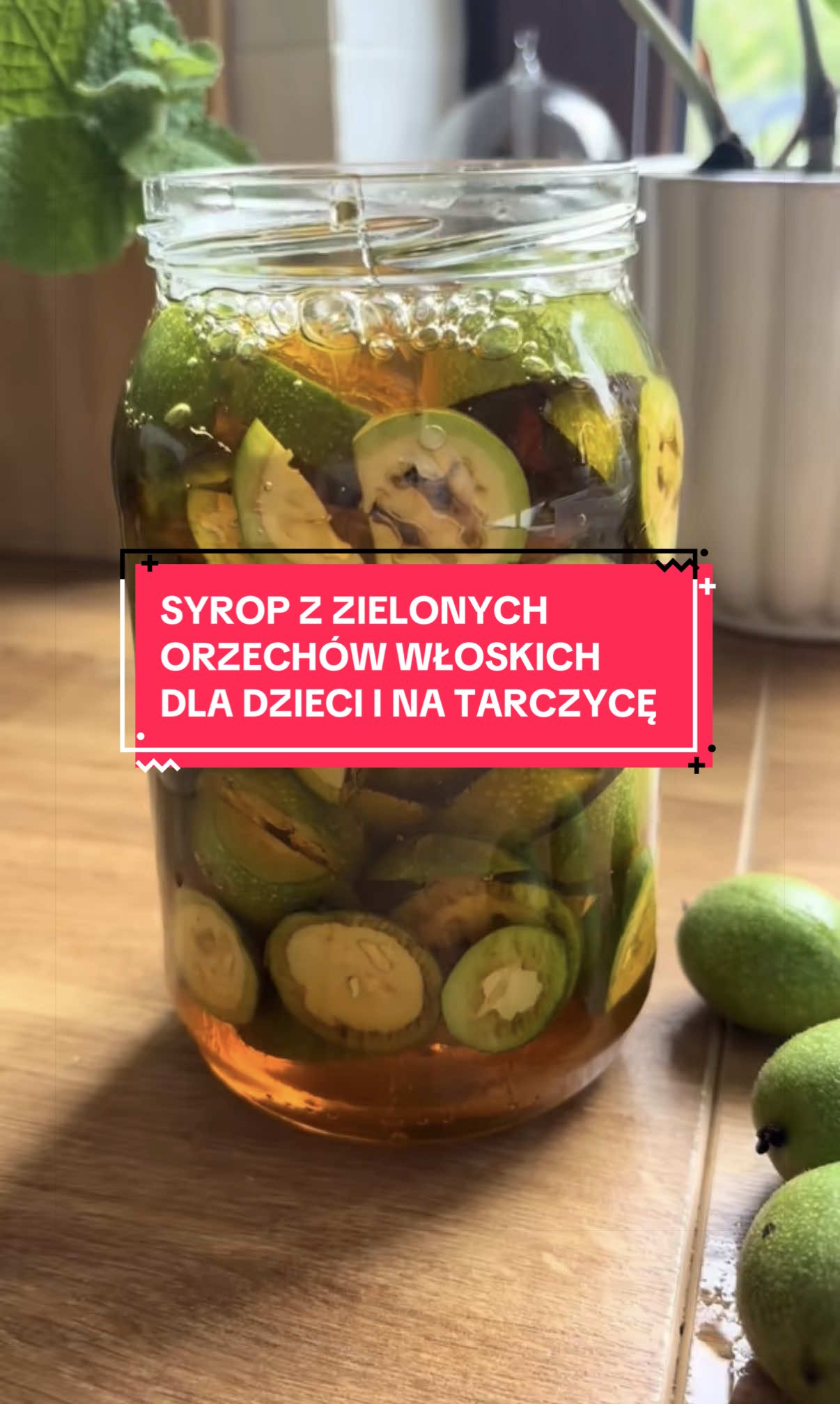 @zacznijodzdrowia.pl