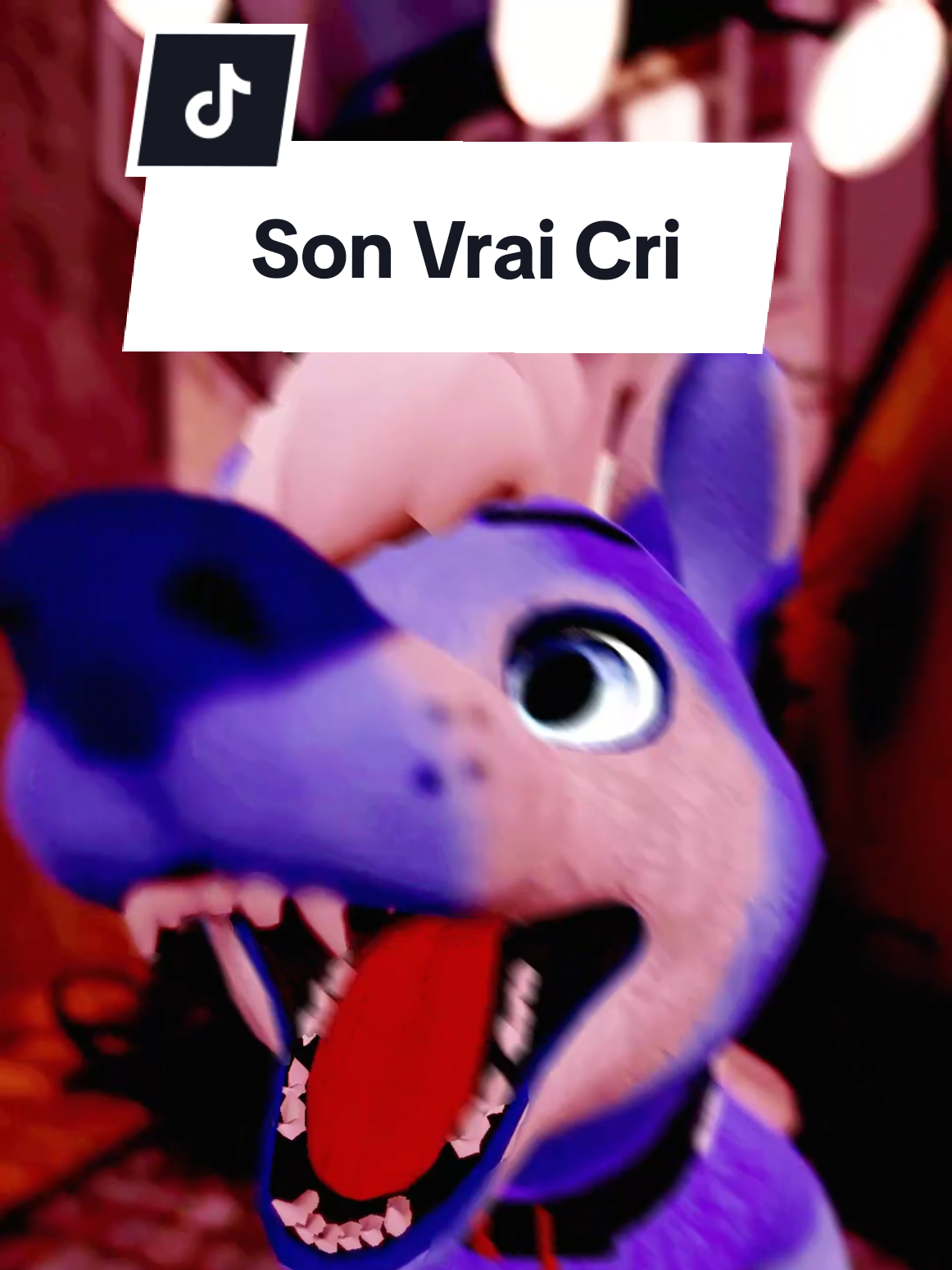 @Seaiter