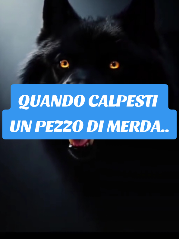 @ALESSANDRO_IL_ROMANO