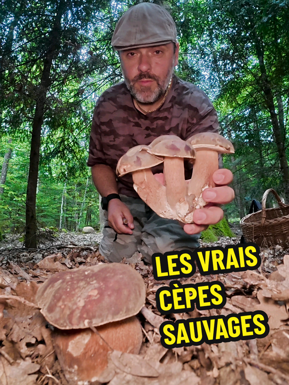 @Dan 🍄🟫 Le Champologue