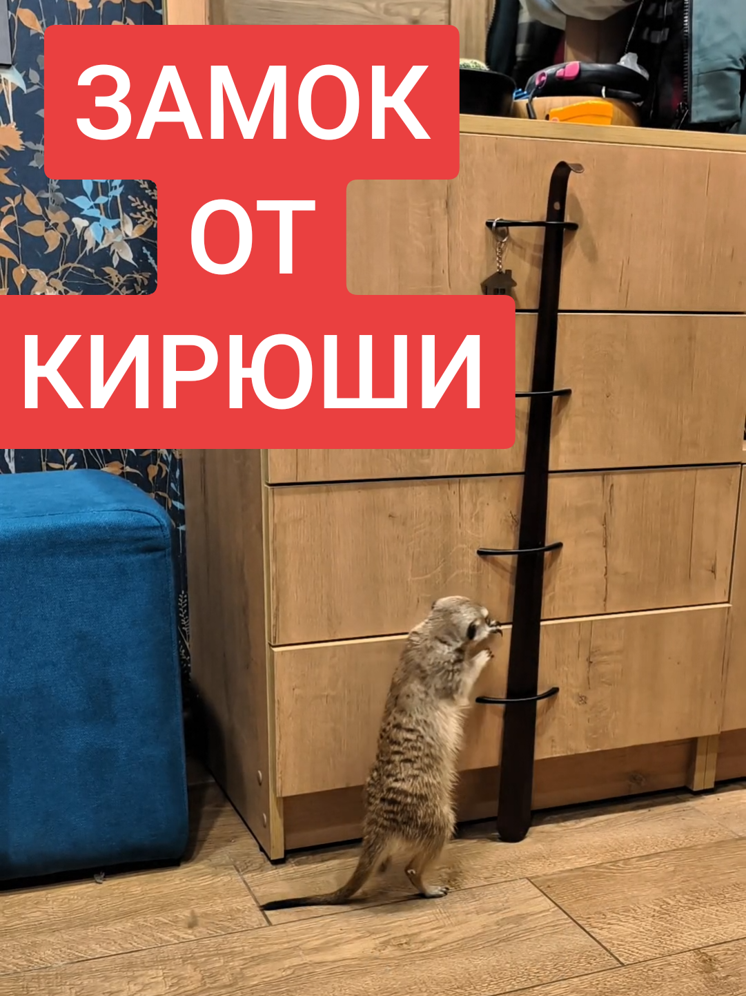 @Пухлый 🤣🤣