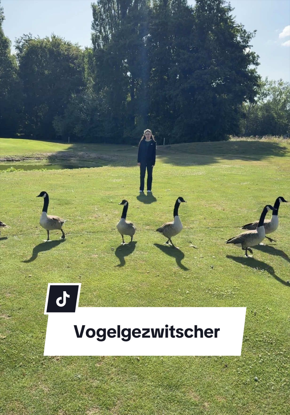 @sfh Steuerberatung