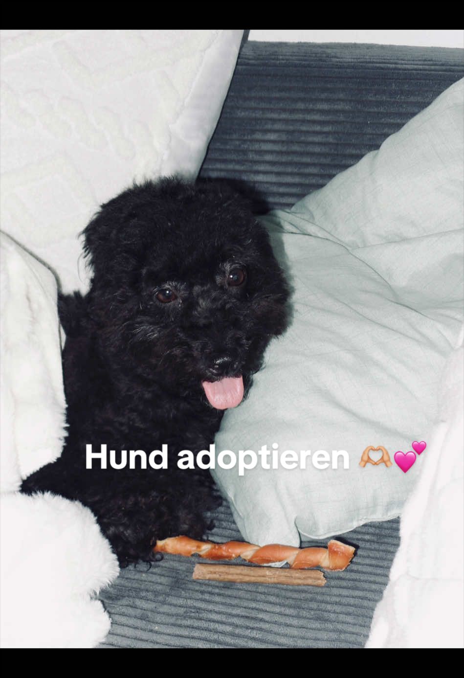 @bundeskanzlerin306