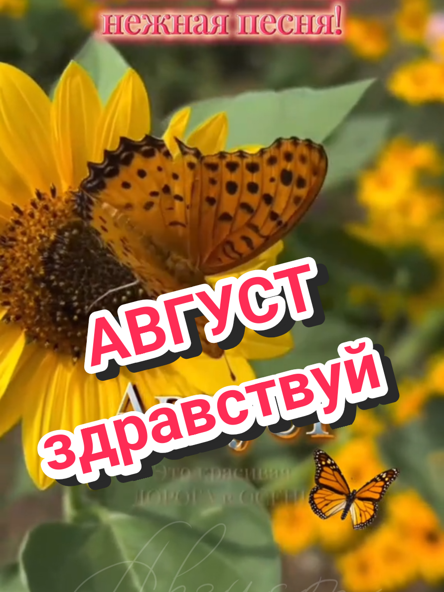 @✨Елена✨