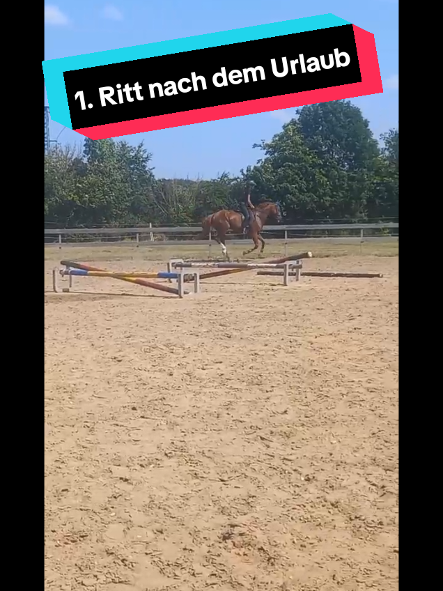 @ponilein1