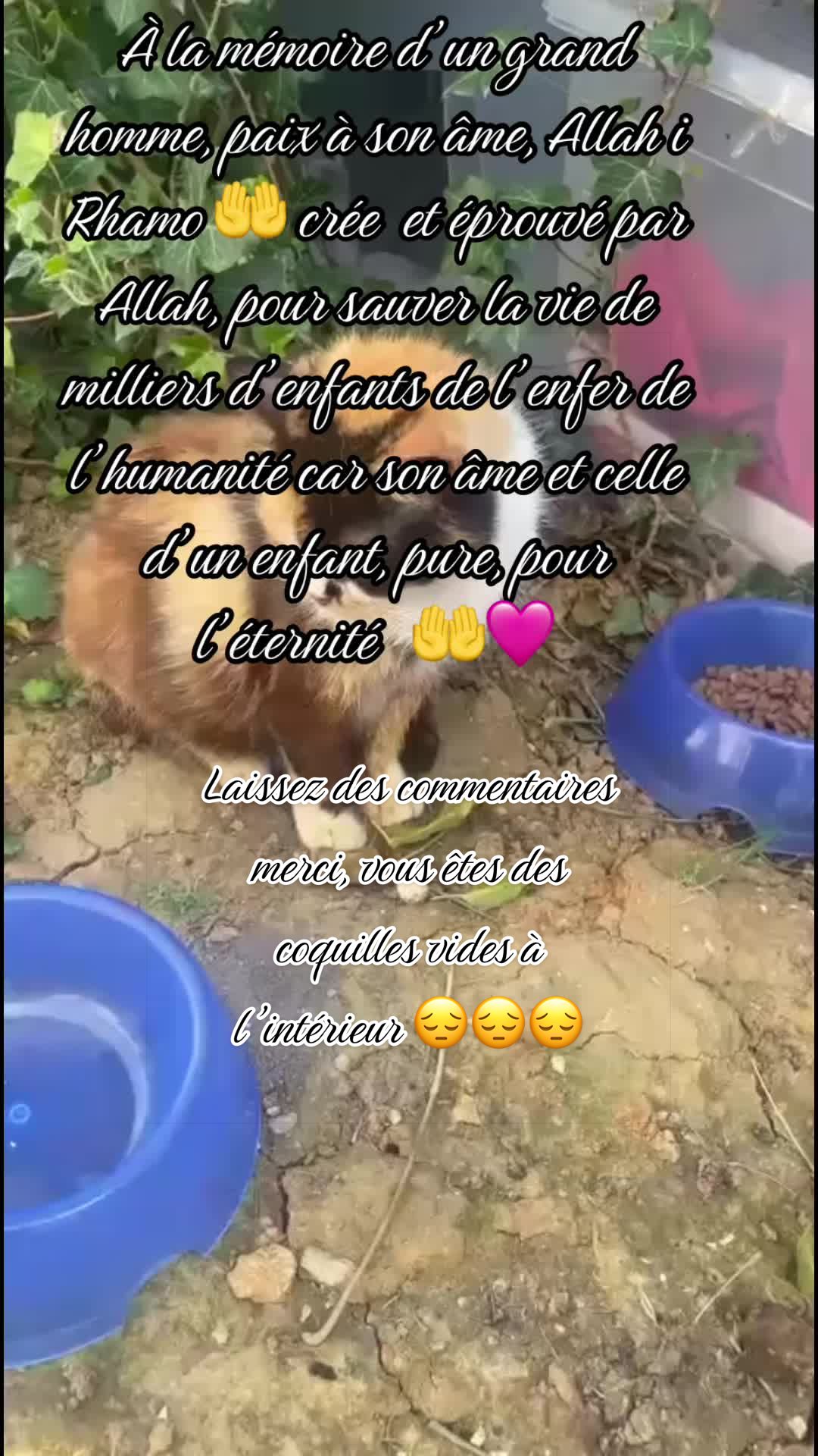 @nanoukira