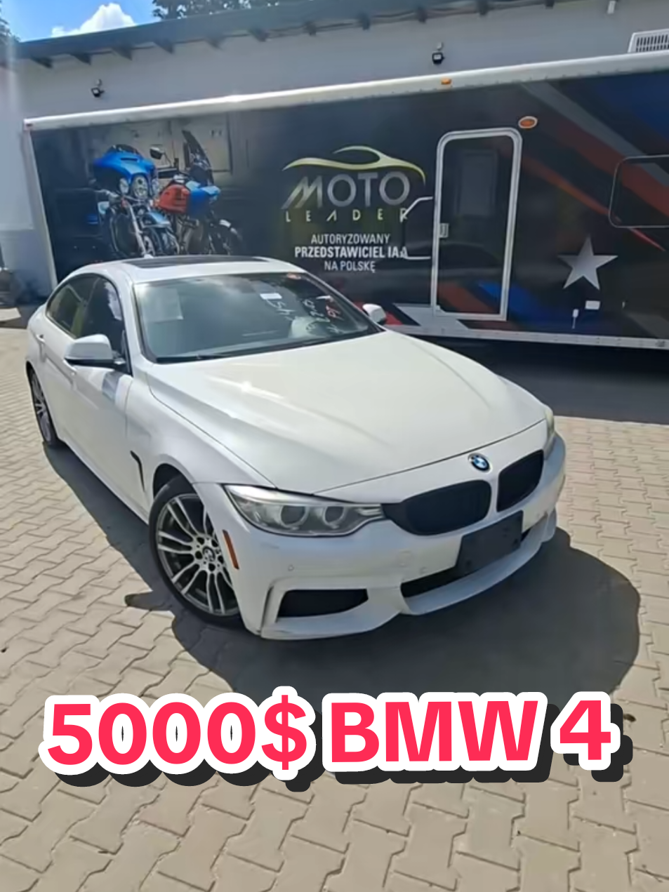 @Marcinzmotoleader