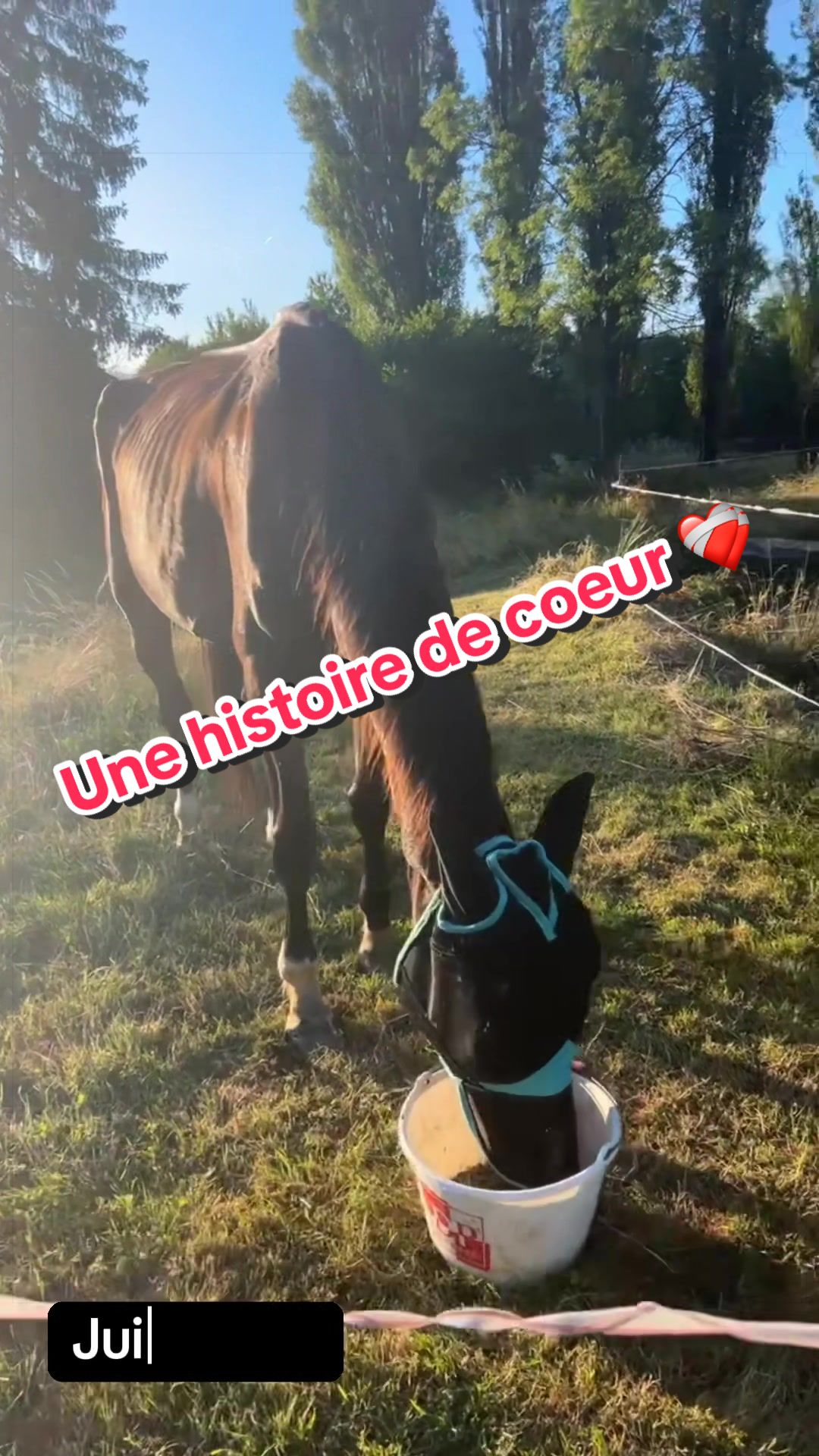 @chabzh58_sdlm