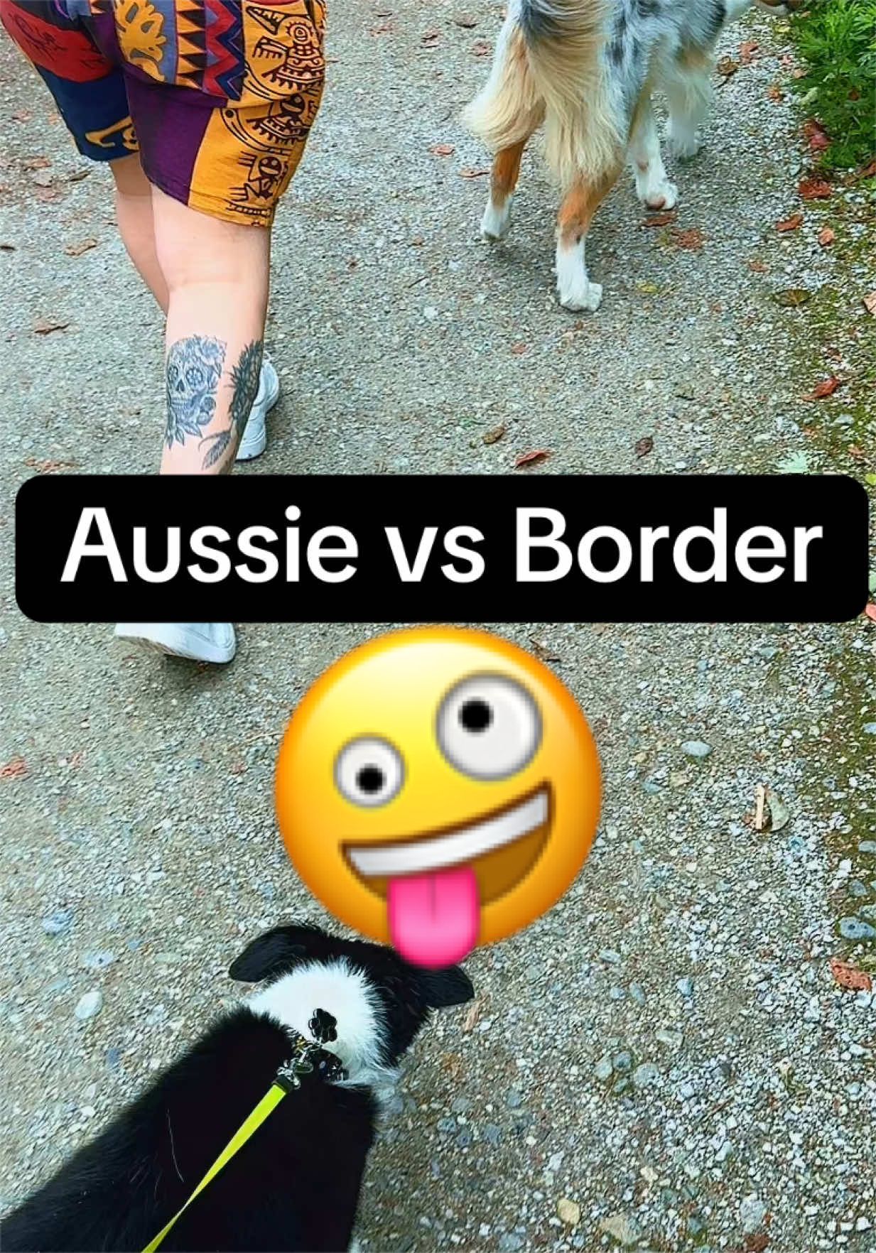 @𝐉𝐀𝐃𝐄 𝐉𝐀𝐘