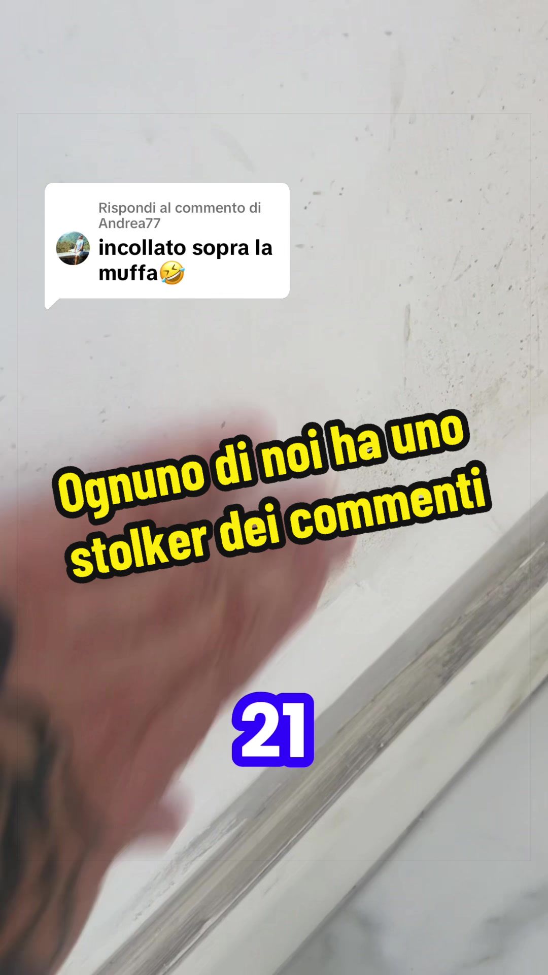 @Alessandro Cuomo ♌️