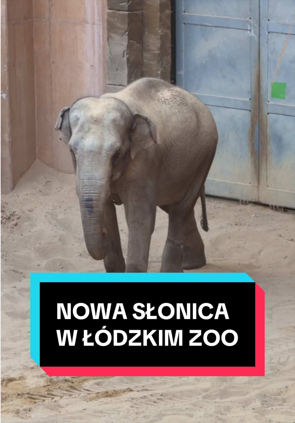 @Ł&oacute;dź 🦄