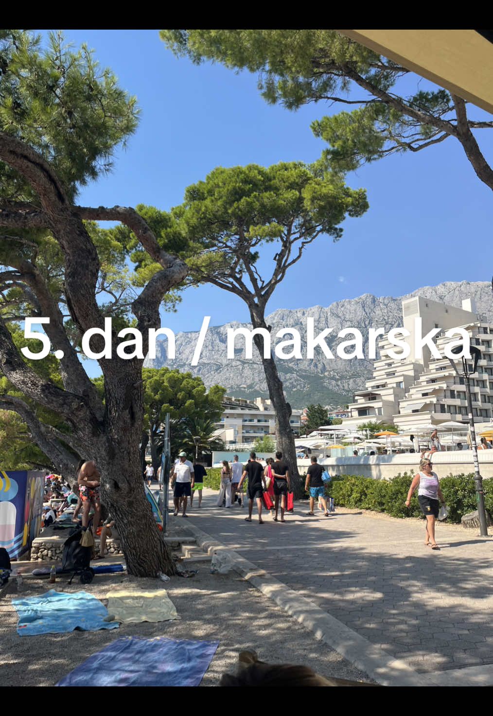 @a.smrecki