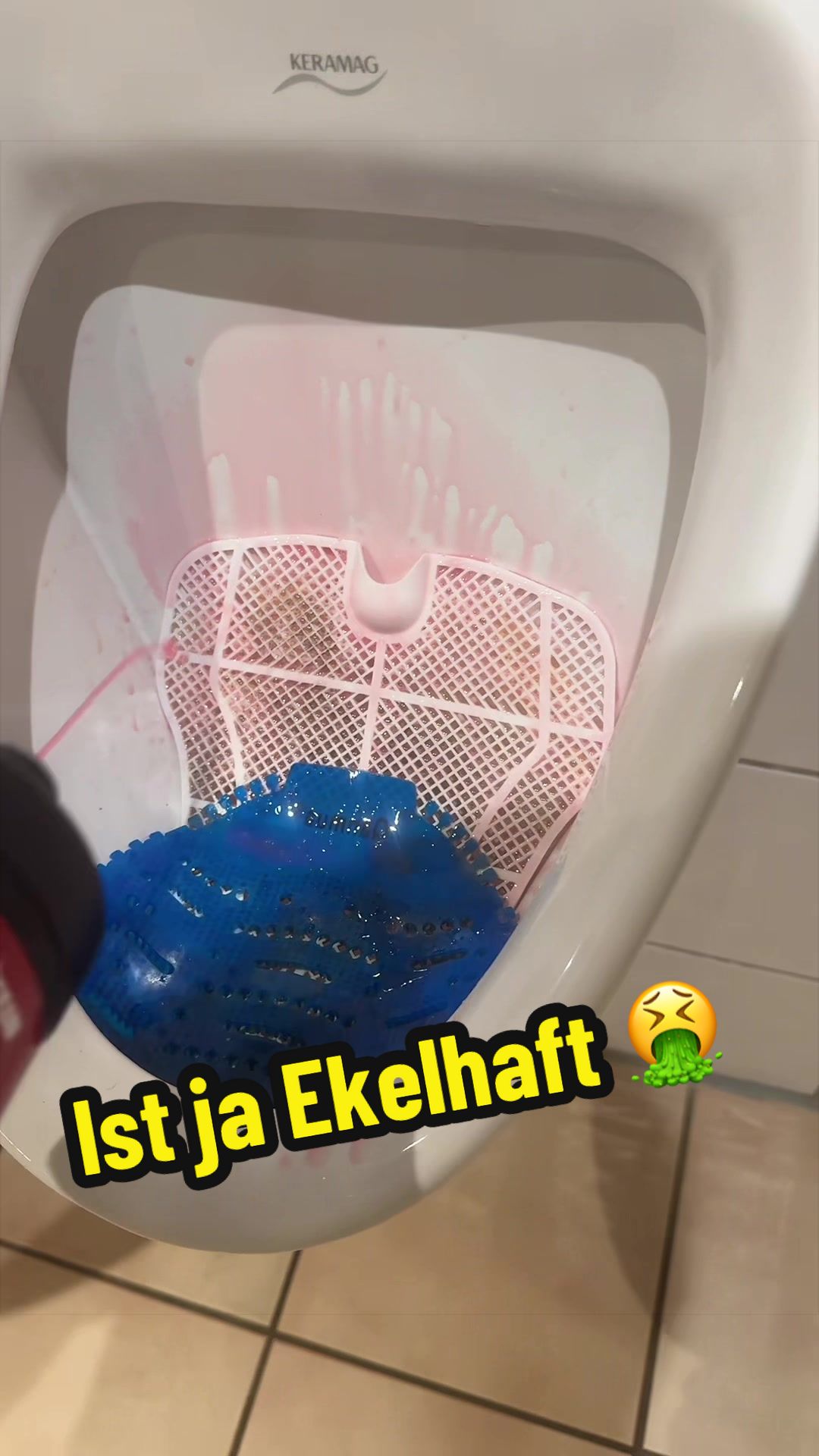@HochNumberOneDahler