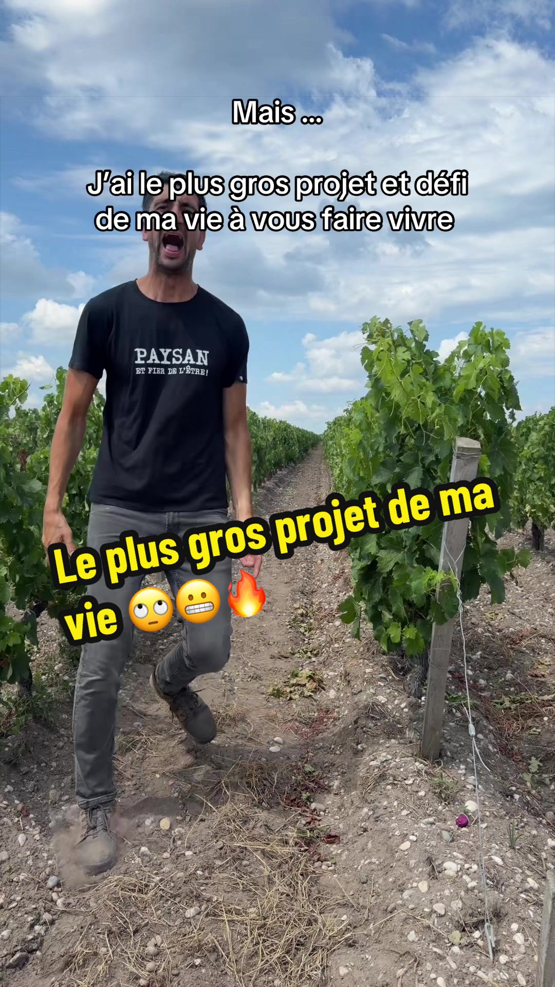 @Le.Viticulteur 🍇🍷🚀
