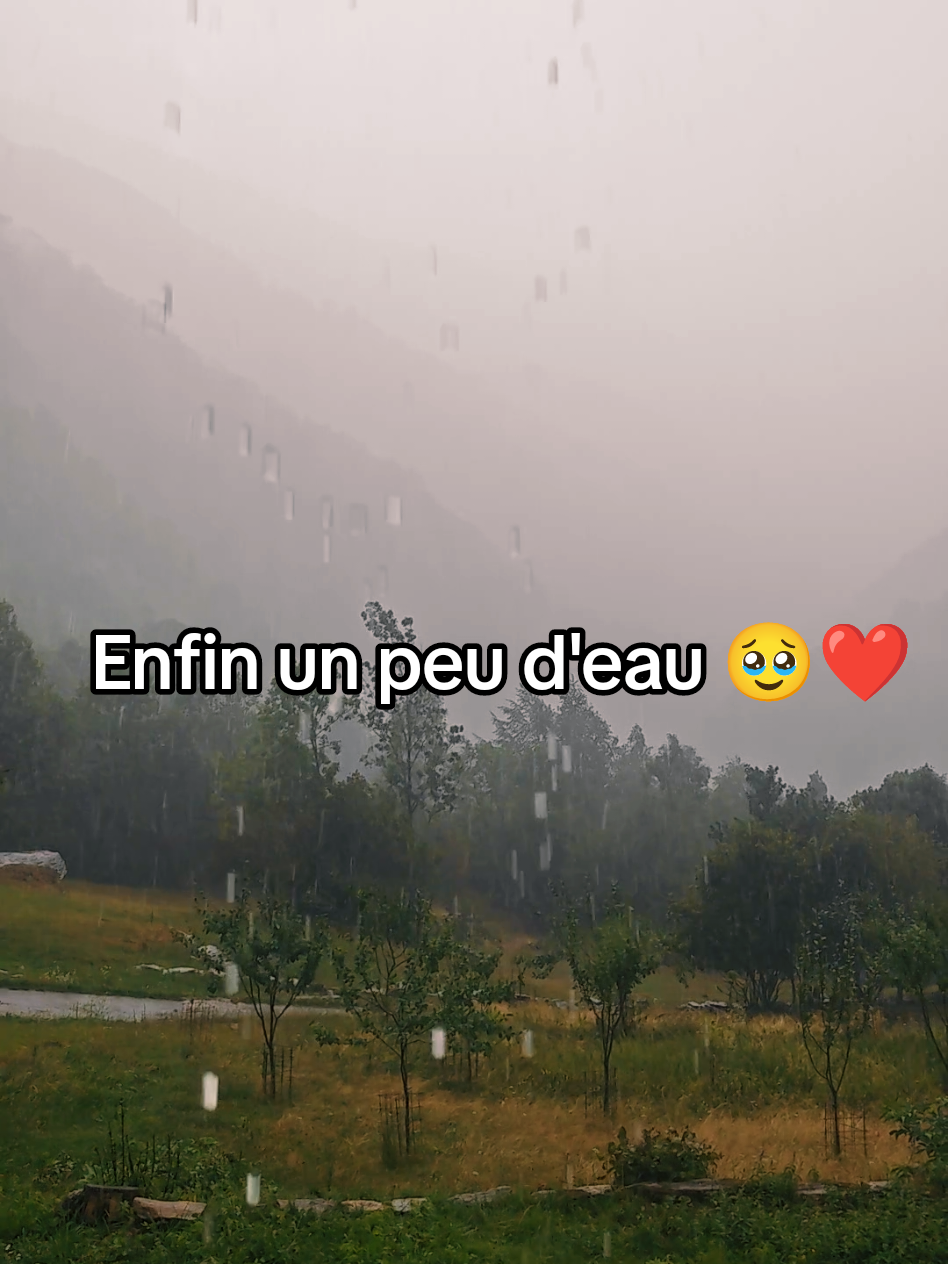 @Heidi